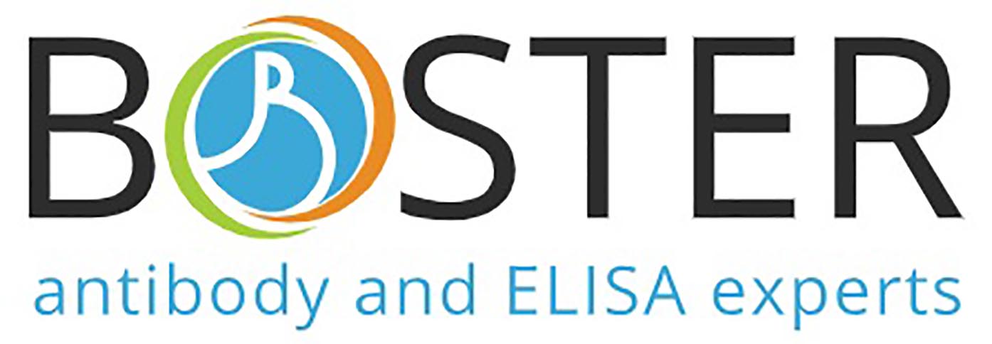 Boster Bio