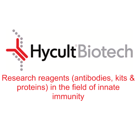 Hycult Biotech