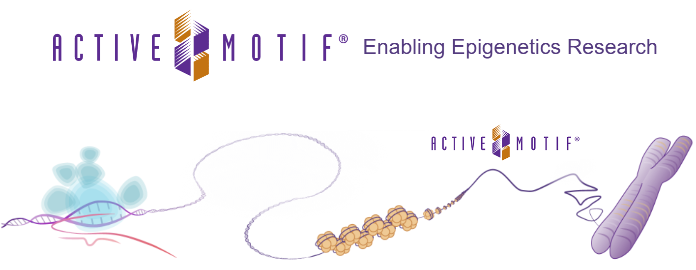 Active Motif