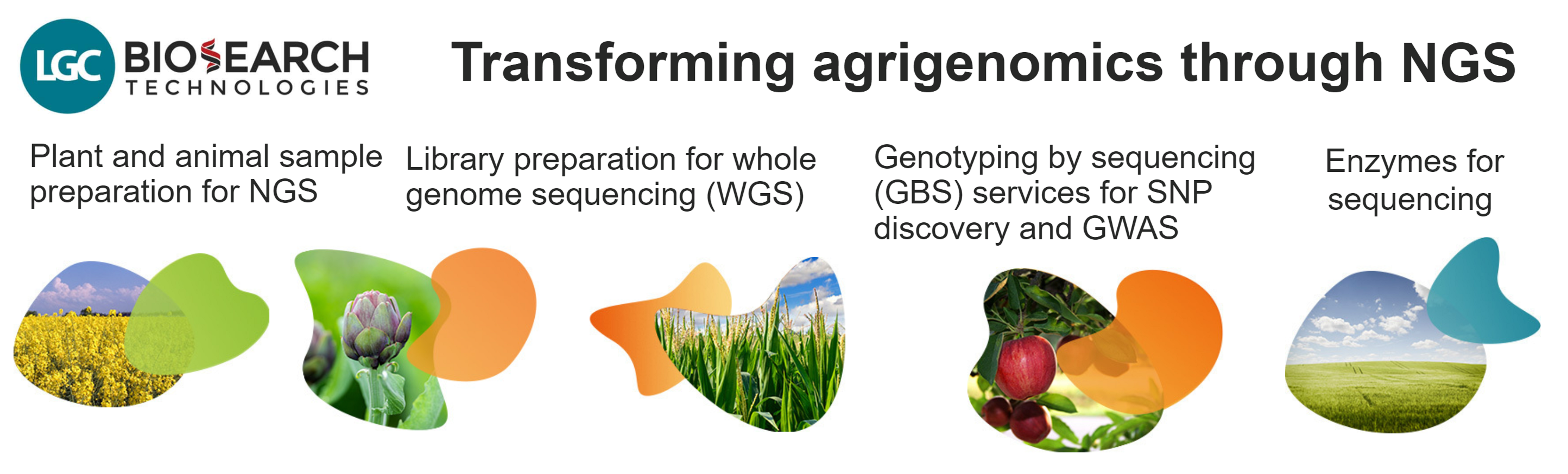 LGC Biosearch Technologies