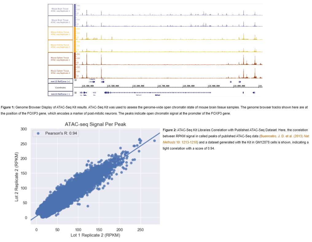 Active Motif's ATAC-Seq Kit (Cat No. 53150): Analyze open chromatin region at genome-wide scale